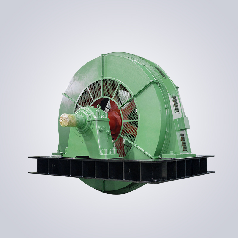 T系列大型高壓三相同步電動機(jī)