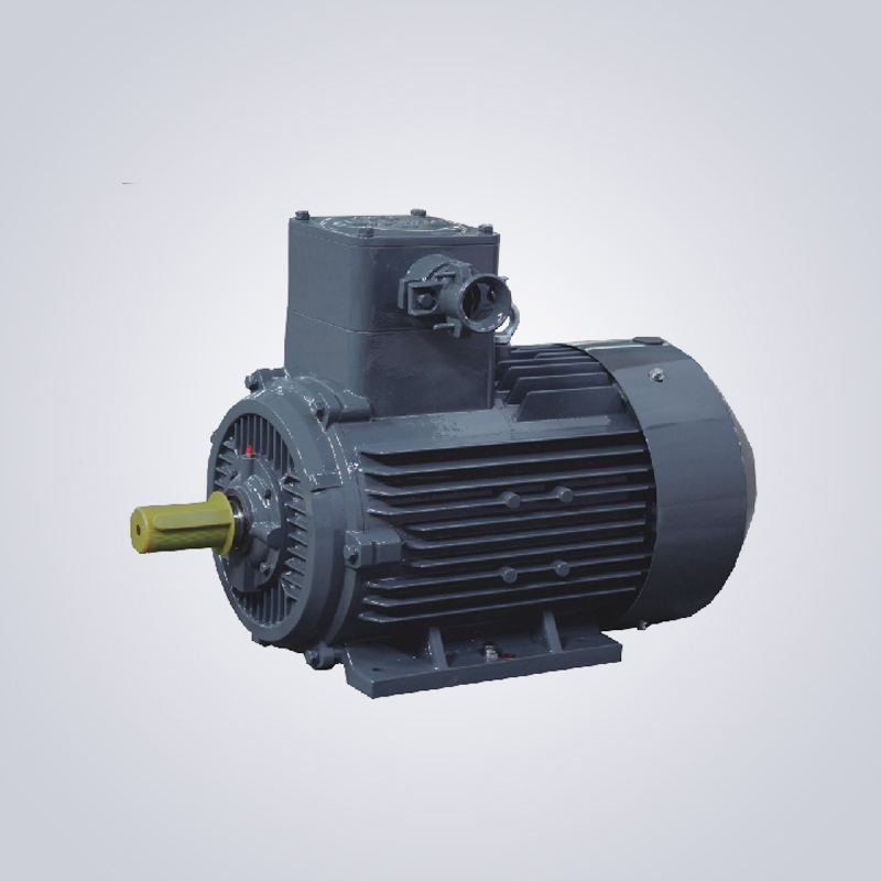 TBYP1系列一級能效隔爆型變頻調(diào)速三相永磁同步電動機(jī)